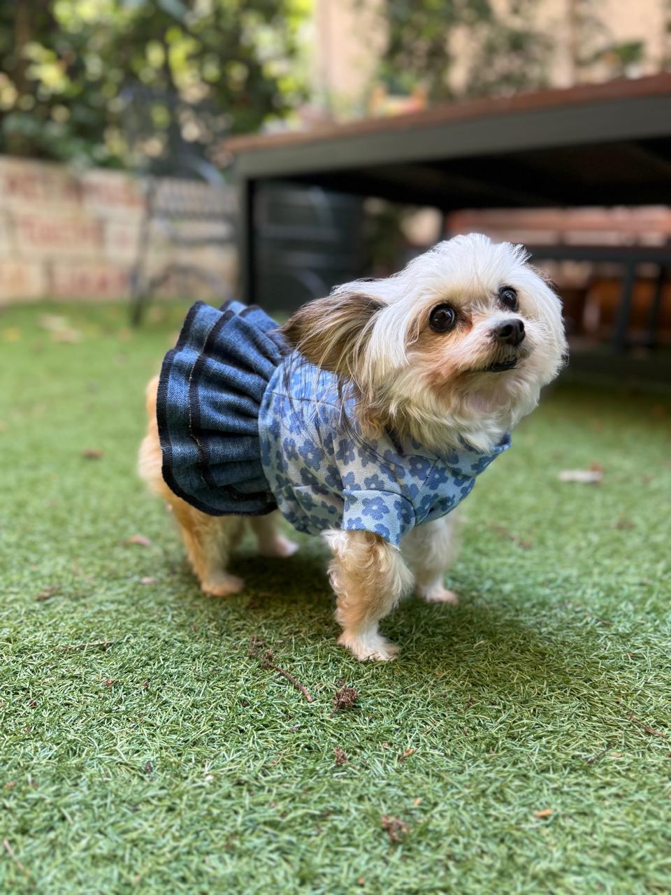 Small paws, Big style , Zero waste