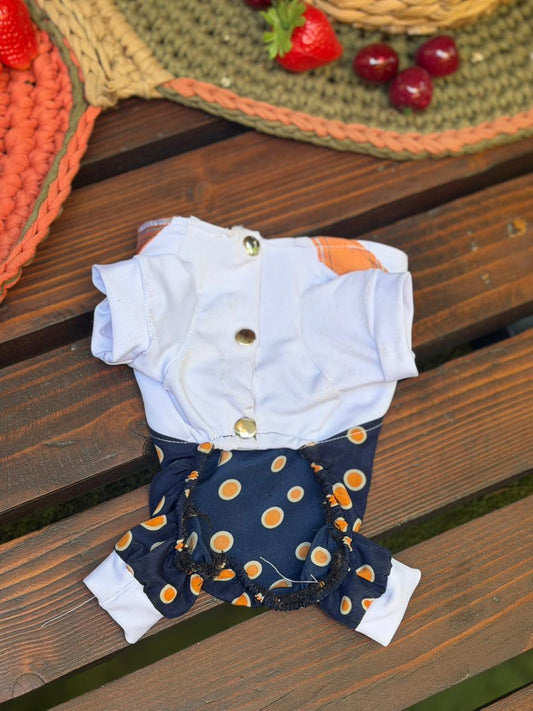 Polka Pawty
