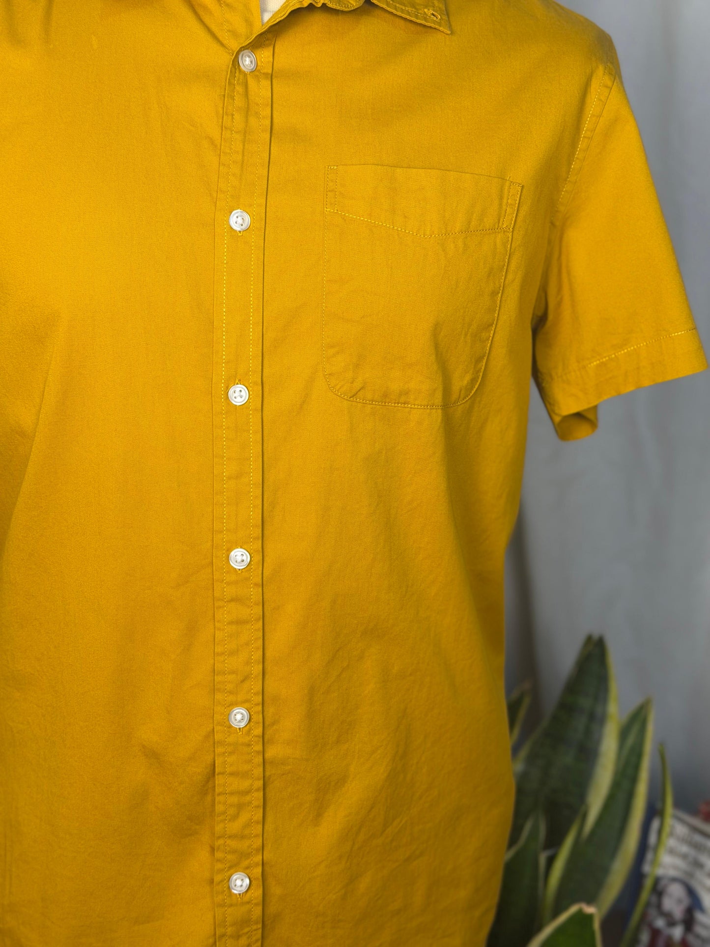 Men Shirt